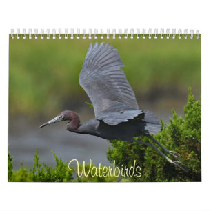 Calendario Aves acuáticas 4