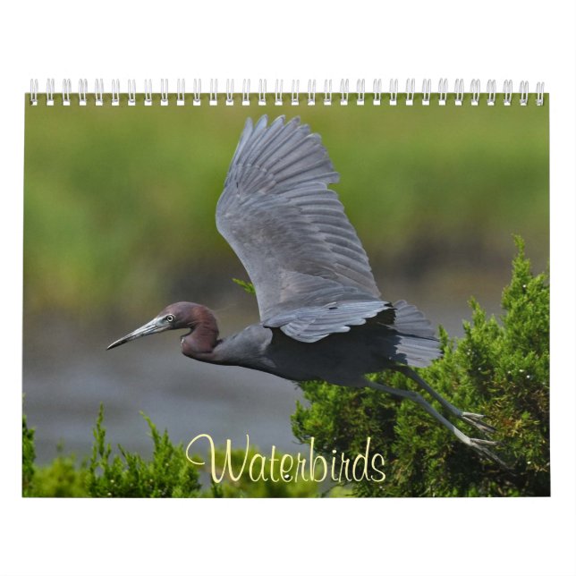 Calendario Aves acuáticas 4 (Tapa)