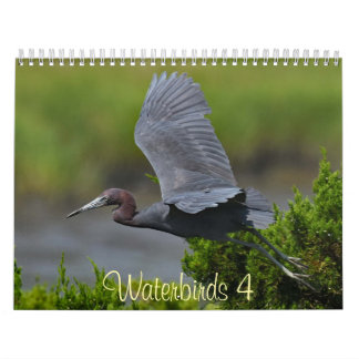 Calendario Aves acuáticas 4