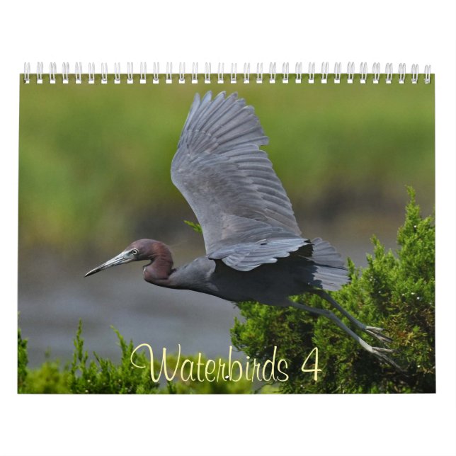 Calendario Aves acuáticas 4 (Tapa)