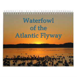 Calendario Aves acuáticas de la vía de migración atlántica