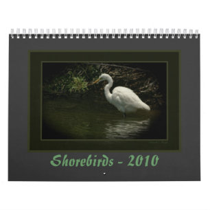 Calendario Aves costeras - 2010