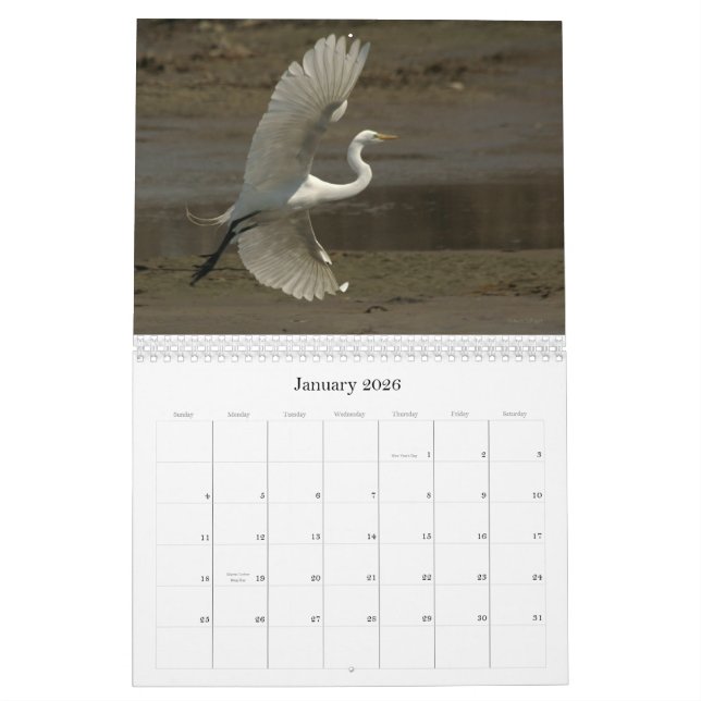 Calendario Aves costeras - 2010 (Jan 2026)