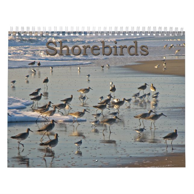 Calendario Aves costeras atlánticas (Tapa)