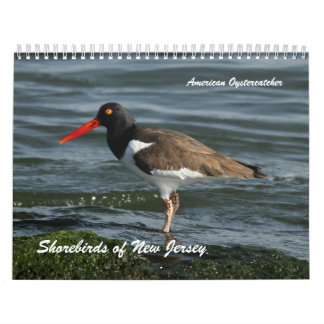 Calendario Aves costeras de New Jersey