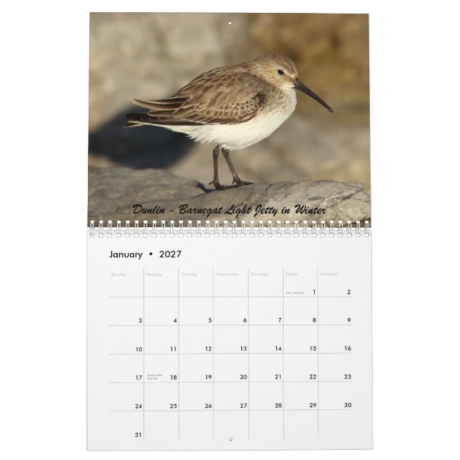 Calendario Aves costeras de New Jersey (Jan 2027)