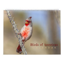 Calendario Aves de América