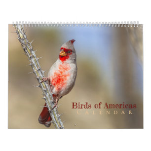 Calendario Aves de América 