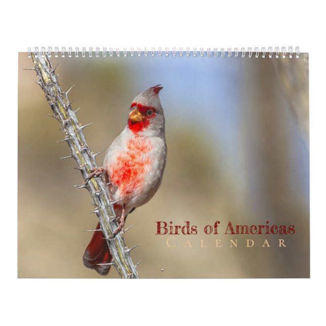 Calendario Aves de América  (Tapa)