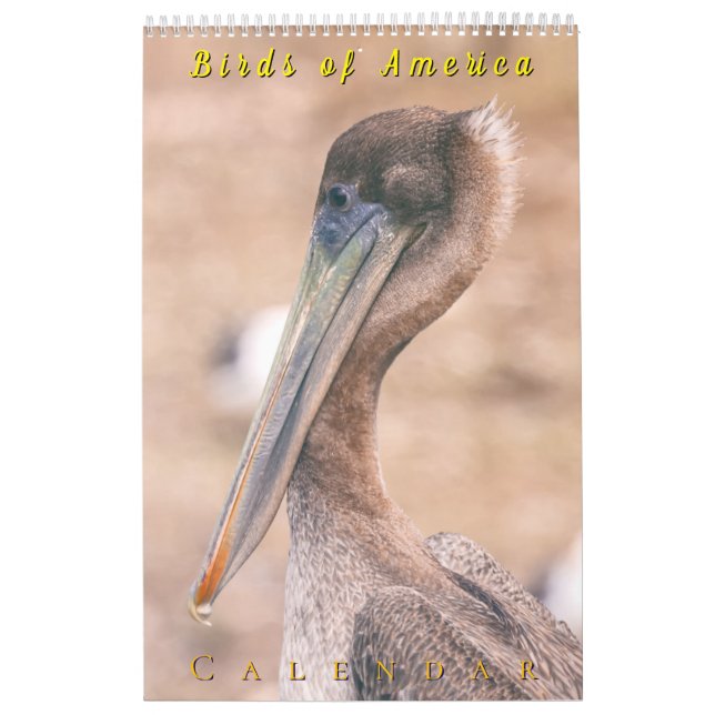 Calendario Aves de América (Tapa)