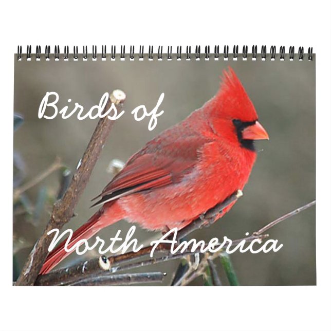 Calendario Aves de América del Norte (Tapa)