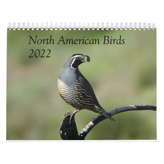 Calendario - Aves de América del Norte (Tapa)