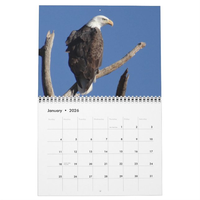 Calendario Aves de América del Norte (Jan 2026)