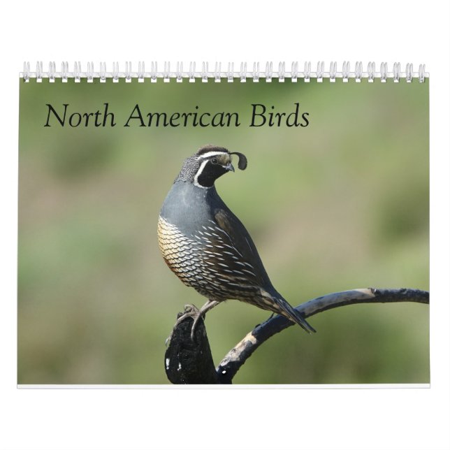 Calendario - Aves de América del Norte (Tapa)