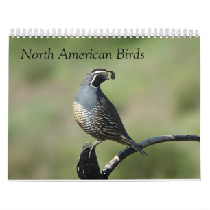 Calendario - Aves de América del Norte