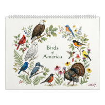 Aves de América - Página 2027