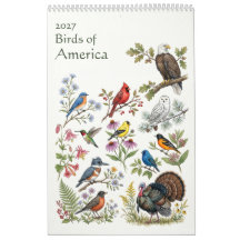 Aves de América - Página Única 2027