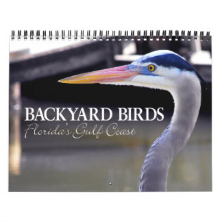 CALENDARIO AVES DE BACKYARD