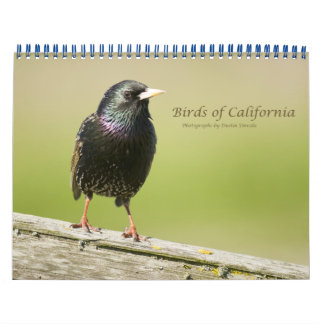 Calendario Aves de California