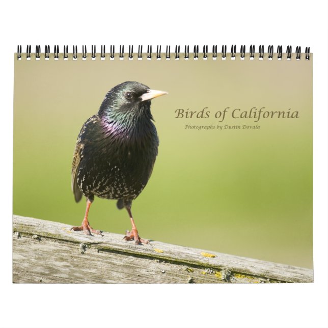 Calendario Aves de California (Tapa)