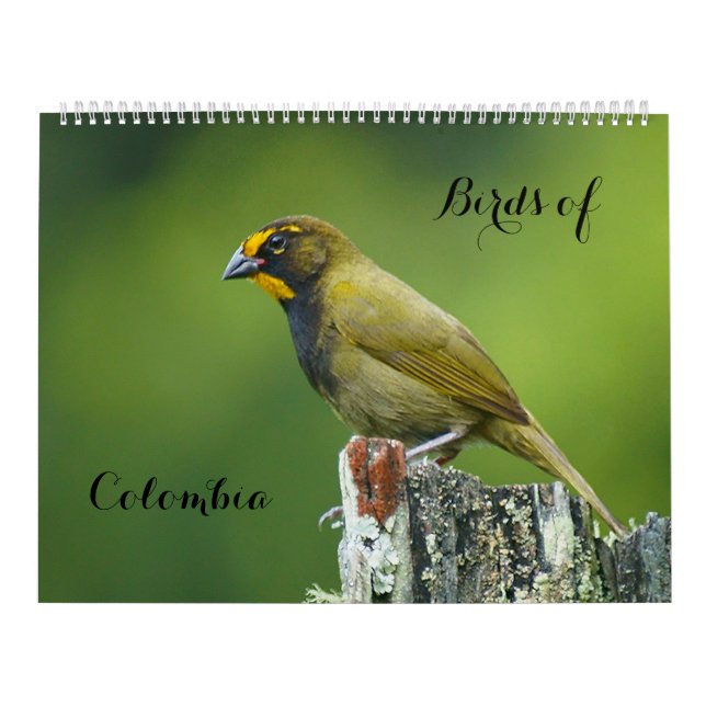 Calendario Aves de Colombia (Tapa)