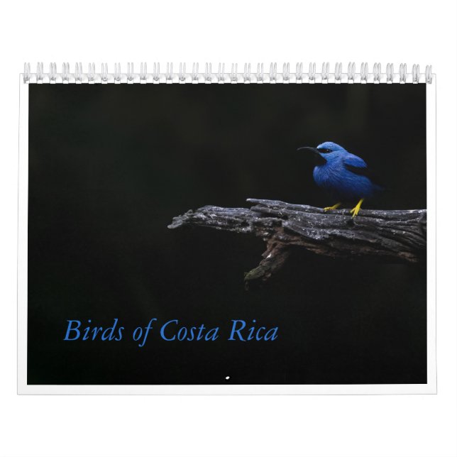 Calendario Aves de Costa Rica (Tapa)