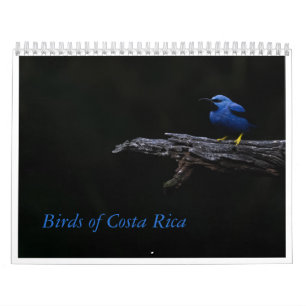 Calendario Aves de Costa Rica