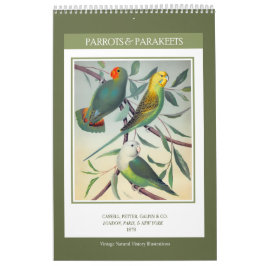 Calendario Aves de época - loros y paracaídas 2026