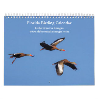 Calendario Aves de Florida 2026