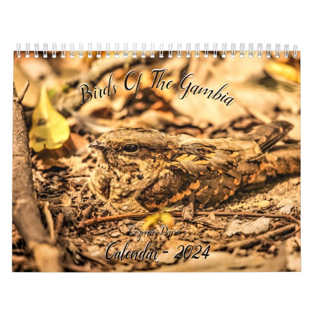 Calendario Aves de Gambia 2024 (Tapa)