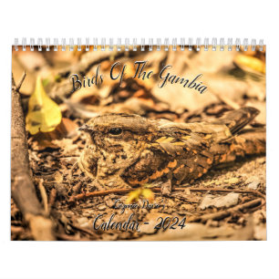 Calendario Aves de Gambia 2024