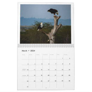 Calendario Aves de Kenia - Lago Naivasha