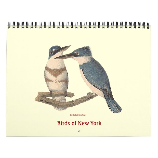 Calendario Aves de las litografías de Nueva York (Tapa)