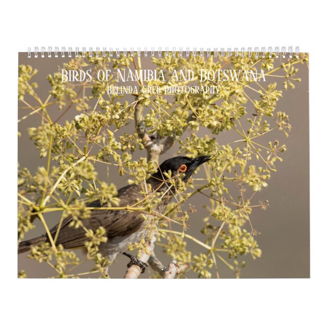 Calendario Aves de Namibia y Botswana (Tapa)