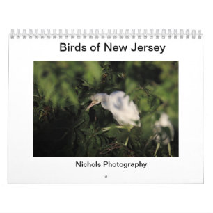 Calendario Aves de Nueva Jersey