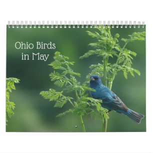 Calendario Aves de Ohio en mayo