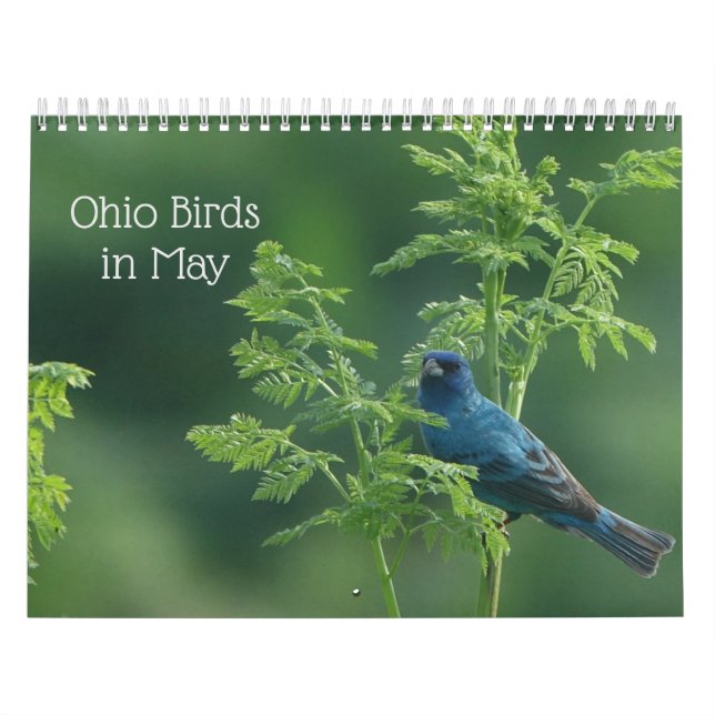 Calendario Aves de Ohio en mayo (Tapa)