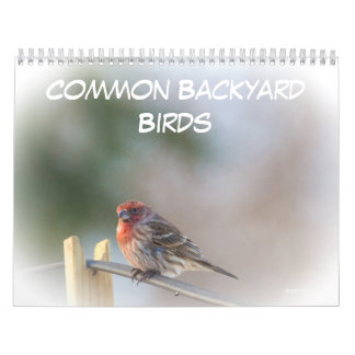 Calendario - Aves de patio trasero comunes