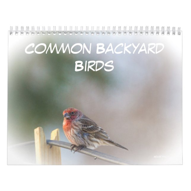 Calendario - Aves de patio trasero comunes (Tapa)