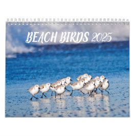 Calendario Aves de playa 2025