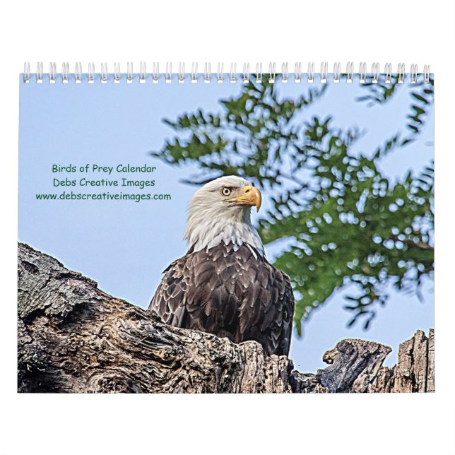 Calendario Aves de Presa 2026 (Tapa)