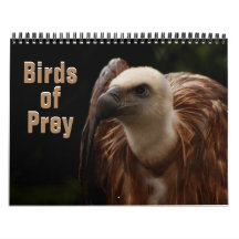 Aves de Prey 2022