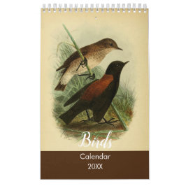 Calendario Aves de Tierra del Fuego