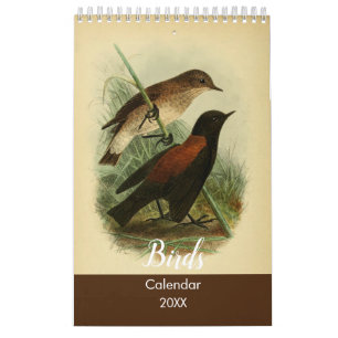 Calendario Aves de Tierra del Fuego