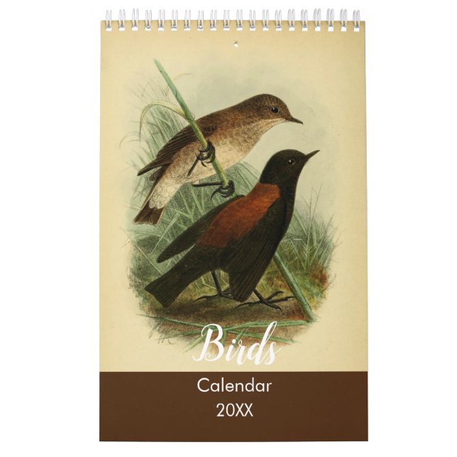 Calendario Aves de Tierra del Fuego (Tapa)