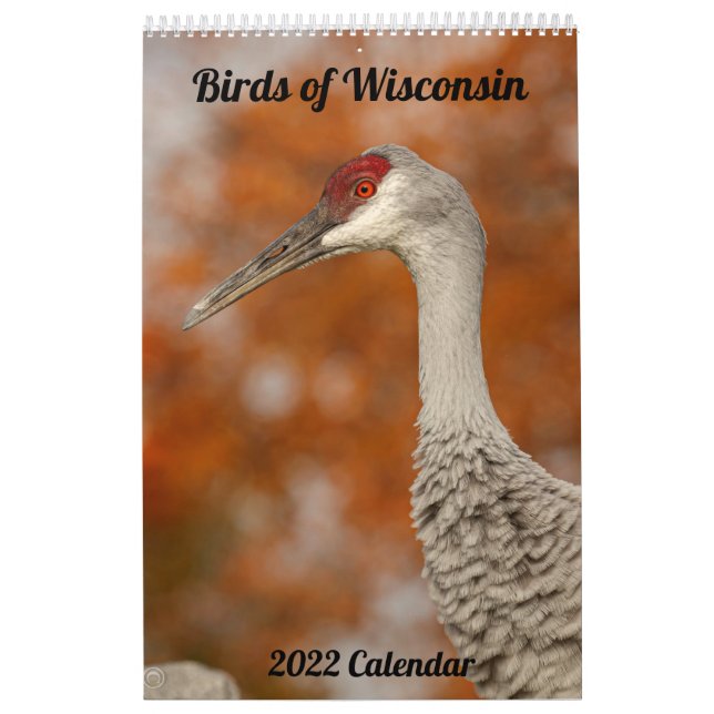 Calendario Aves de Wisconsin 2022 (Tapa)