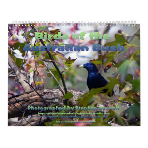 Calendario Aves del monte australiano