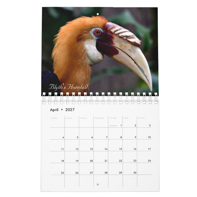 Calendario Aves del mundo (Apr 2027)