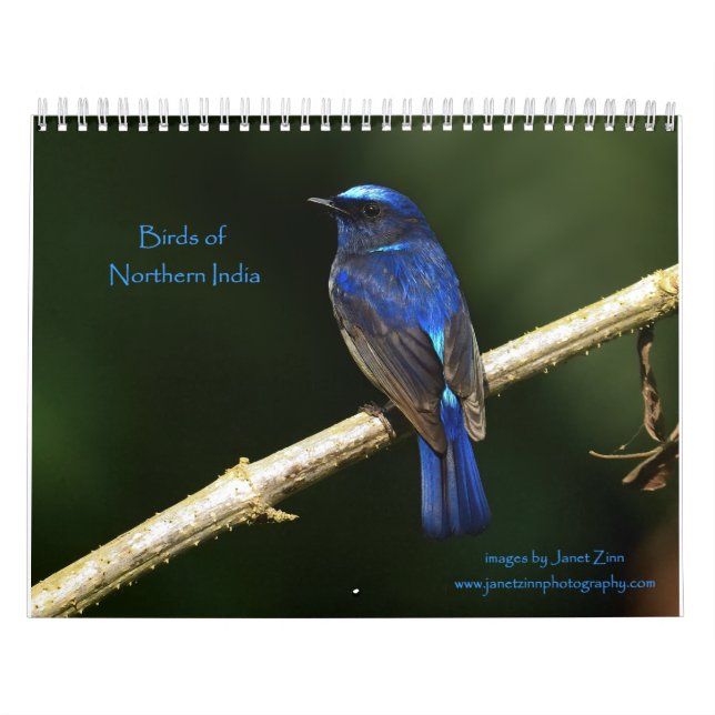 Calendario Aves del Norte de India (Tapa)