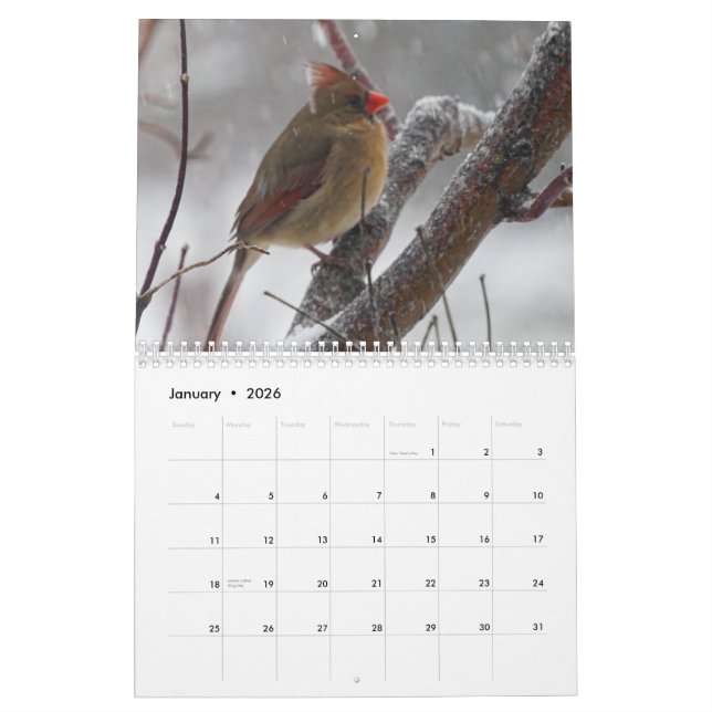 Calendario Aves del patio trasero (Jan 2026)